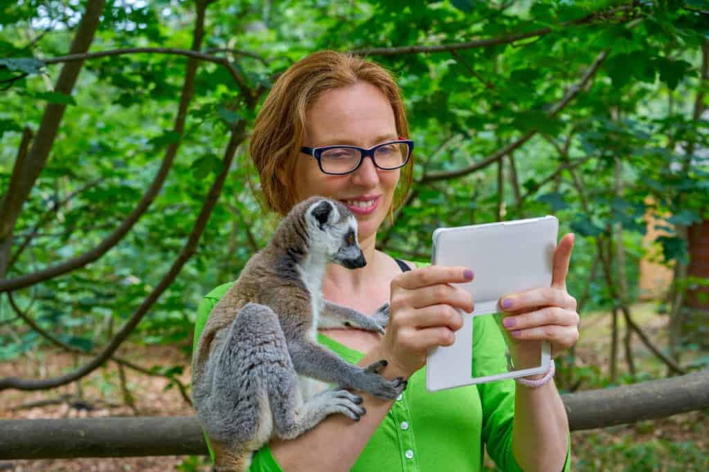 Une femme dans un zoo tient son téléphone tandis qu'un lémurien à queue annelée grimpe sur ses épaules.