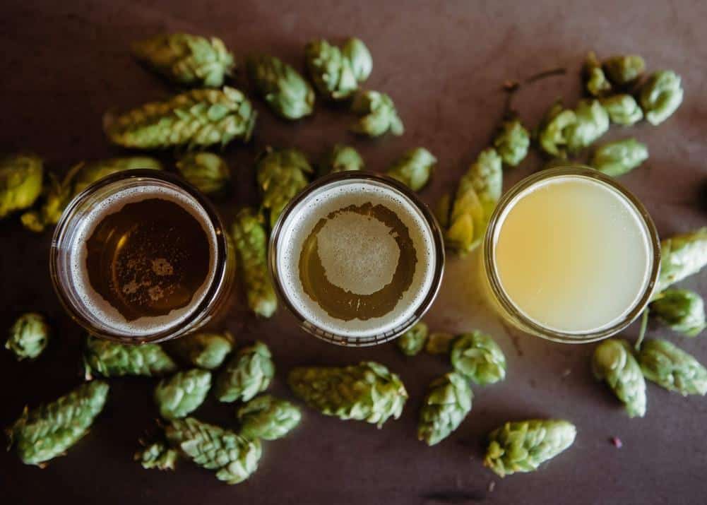 top-view of 3 beers with different colours and hops in the background