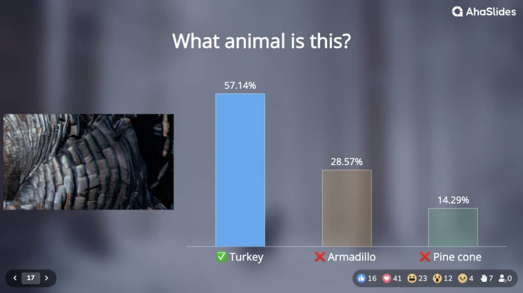 julbildsquiz