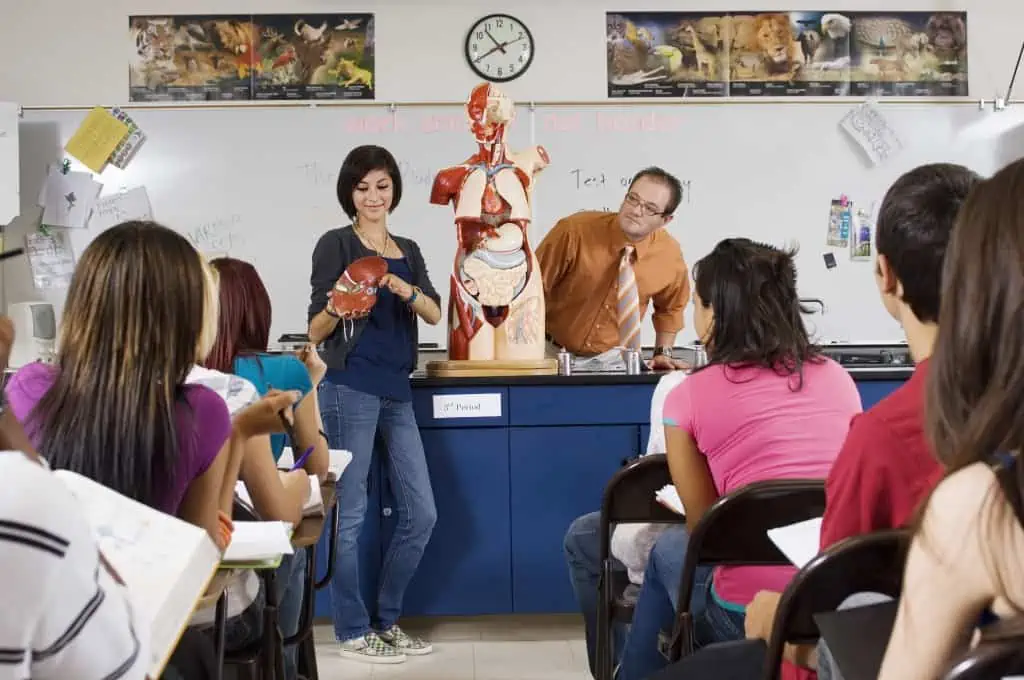 תלמיד המציג את גוף האדם בפני חברים לכיתה במהלך שיעור מדעים