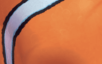 imagen ampliada de las escamas anaranjadas y rayas blancas del pez payaso Nemo