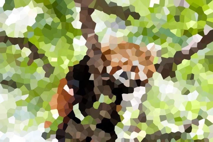 una imagen de mosaico de un panda rojo