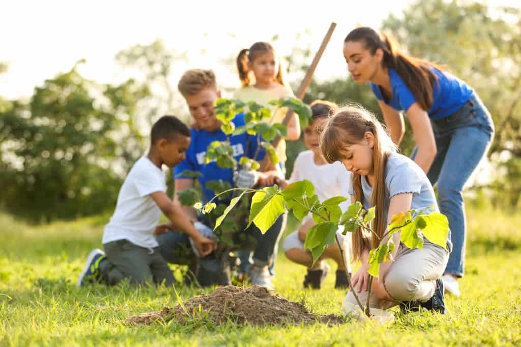 Students and teachers planting a tree together