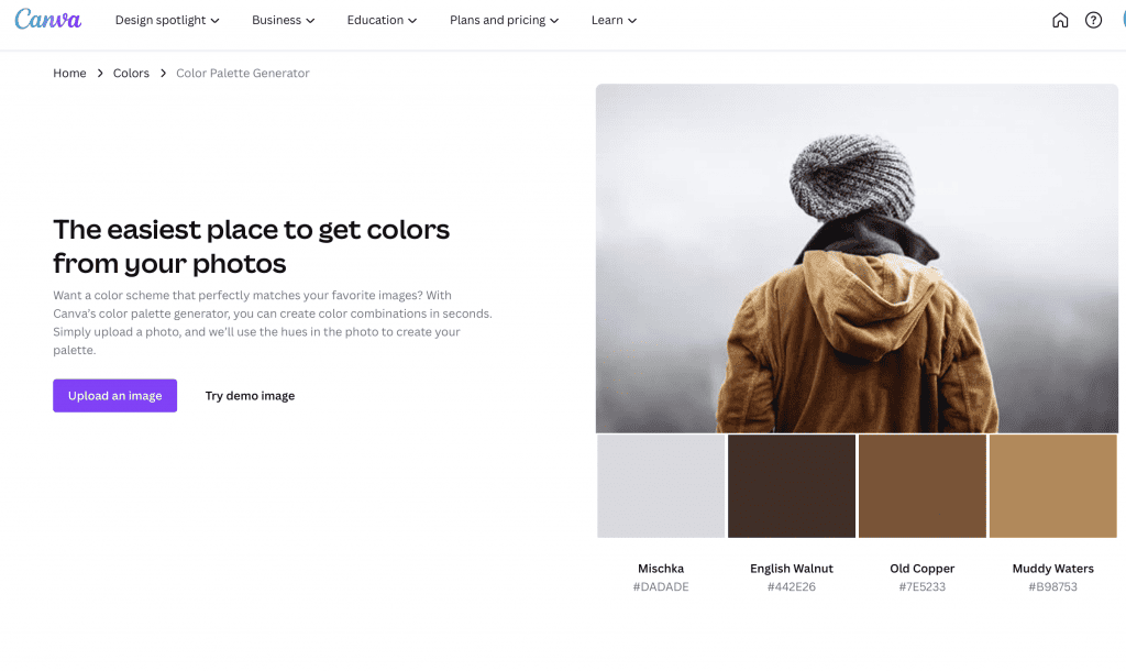 aesthetic colour palette generator
