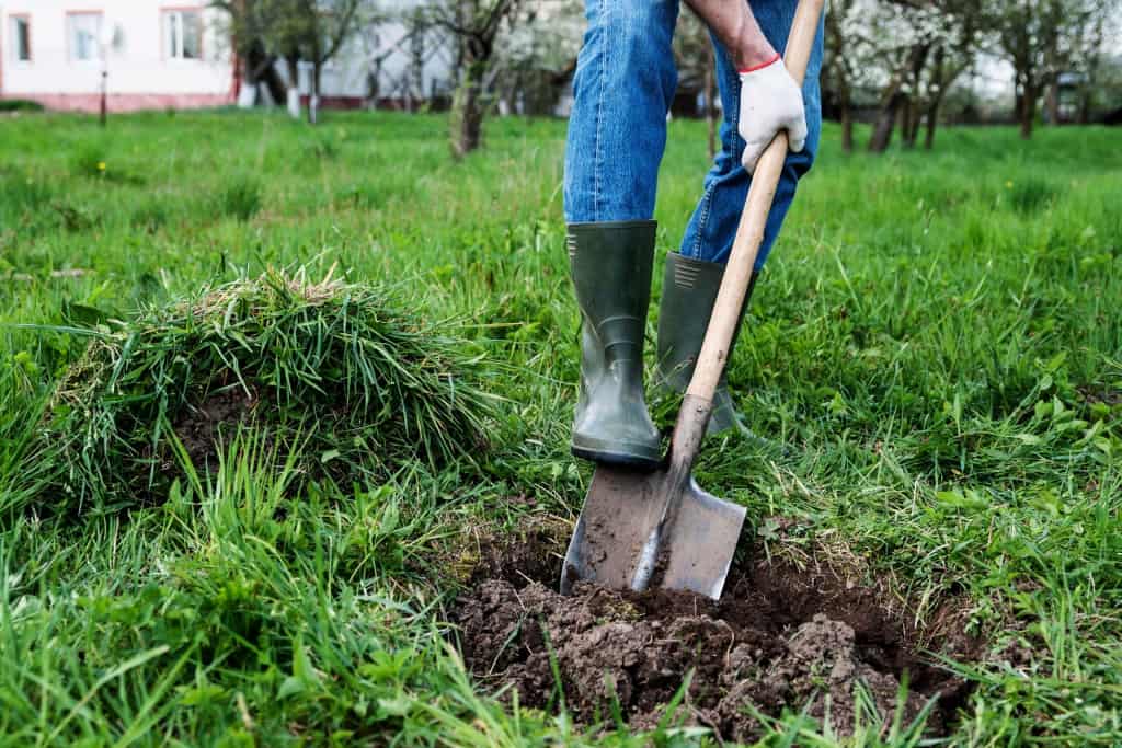 Бүйірлік ойлау пазлдары