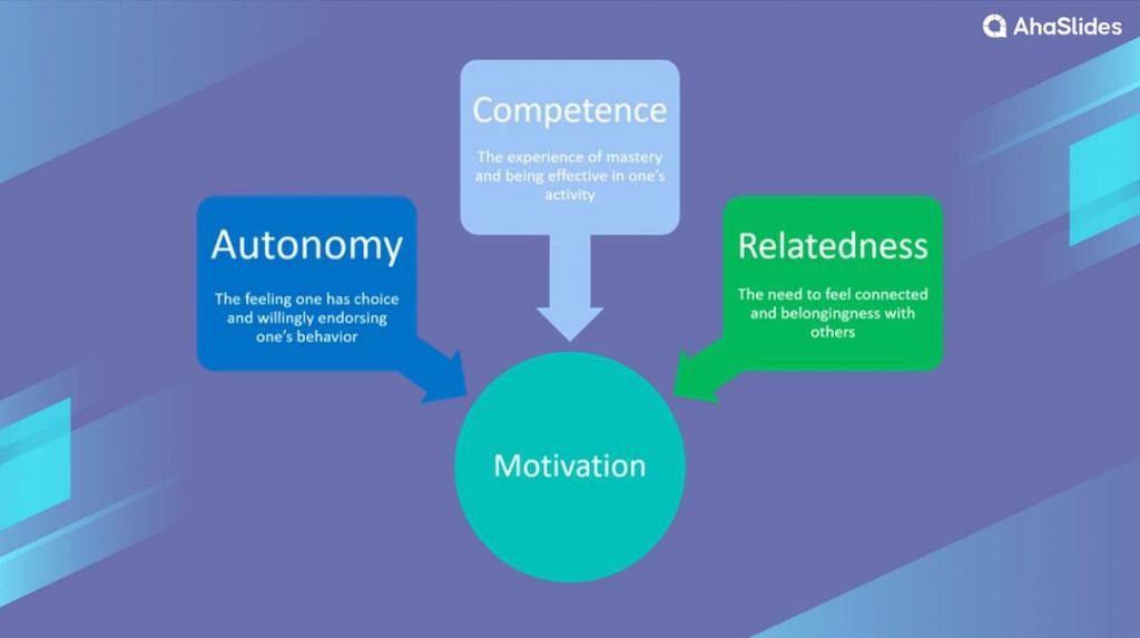 Self-Determination Theory