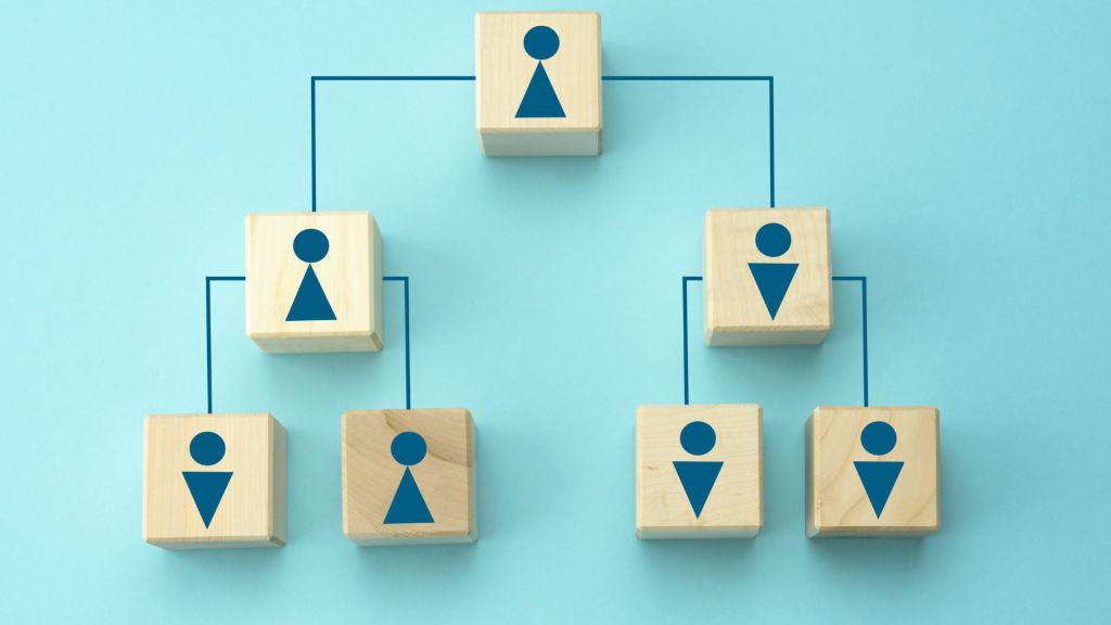 what is hierarchical organizational structure
