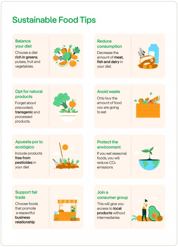 What is Food Sustainability | New Solutions to The World Challenge