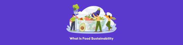 מהי קיימות מזון | פתרונות חדשים לאתגר העולמי