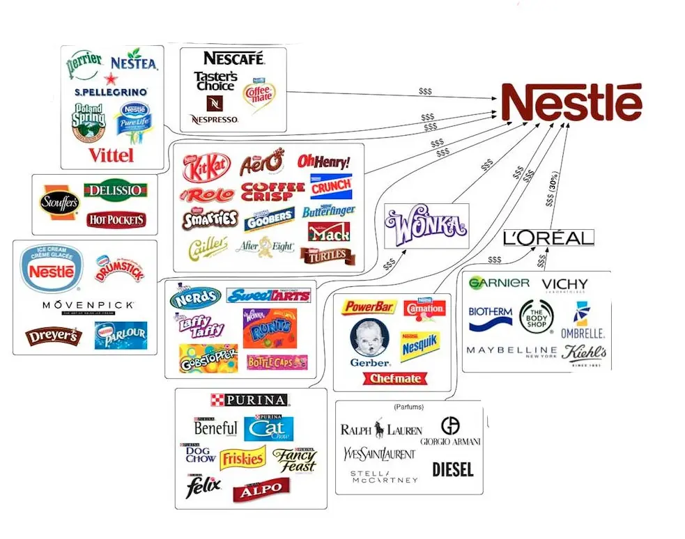 Stratégies d'entrée sur le marché international avec exemples